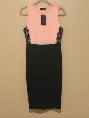 Sleeveless Pink & Black Lace-Accent Sheath Dress